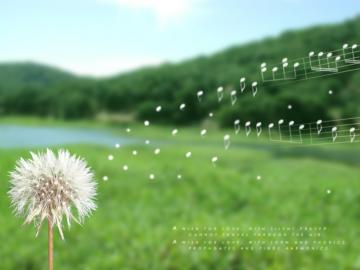 desktop_wish_large.jpg